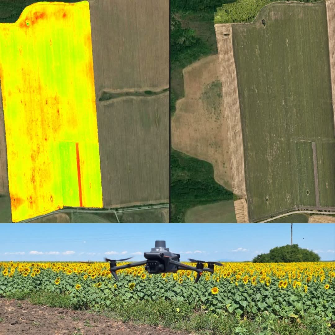 NDVI и NDRE анализ на култури с дрон - вегетация индекс ндви ндре