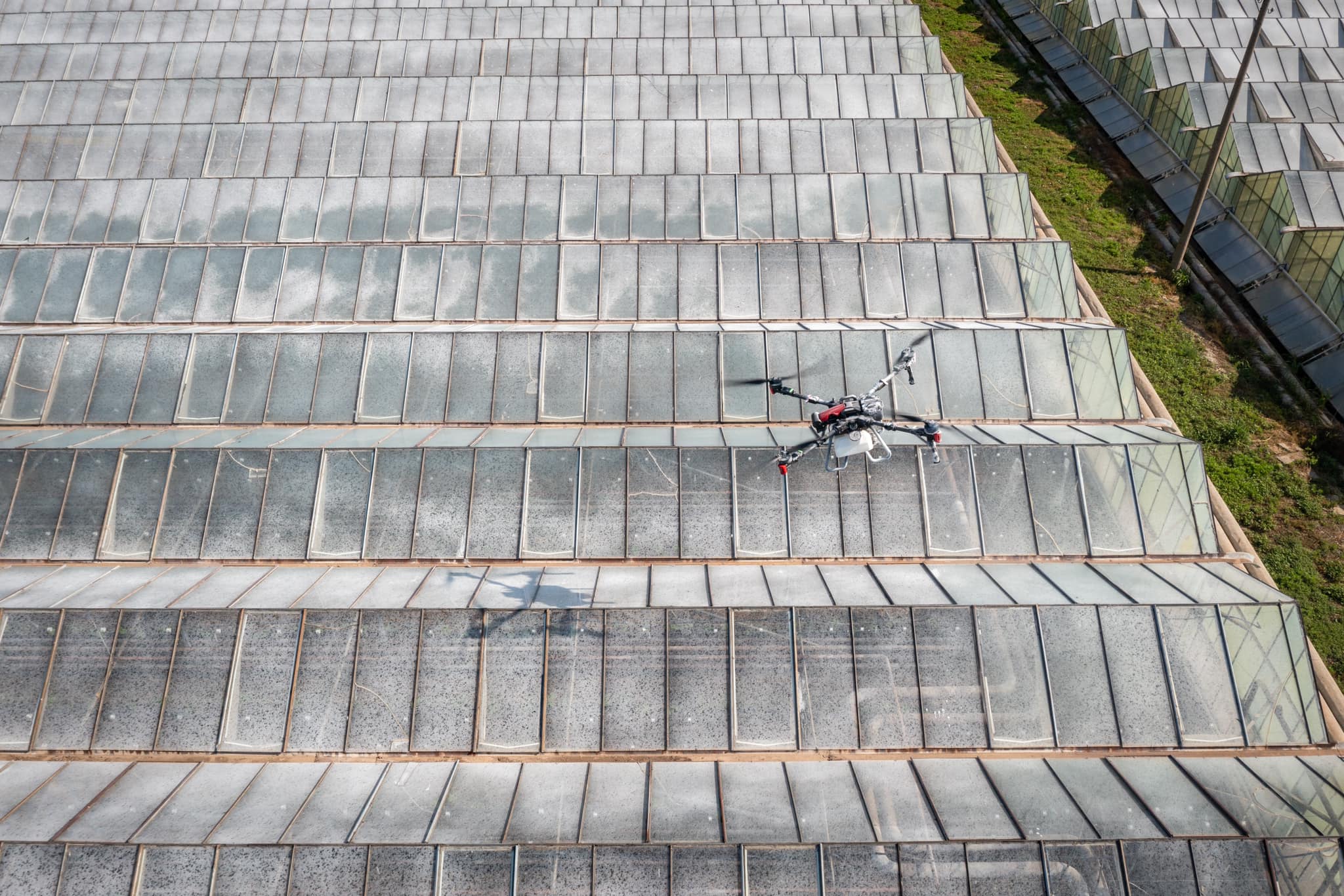 Засенчване на оранжерия с дрон – цена засенчване на оранжерия с вар, боя и латекс