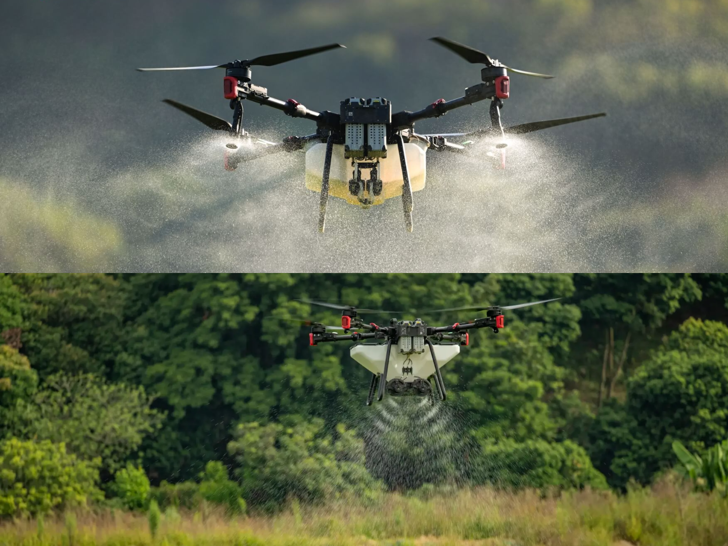 Пръскане сеене торене с дрон – цена услуга