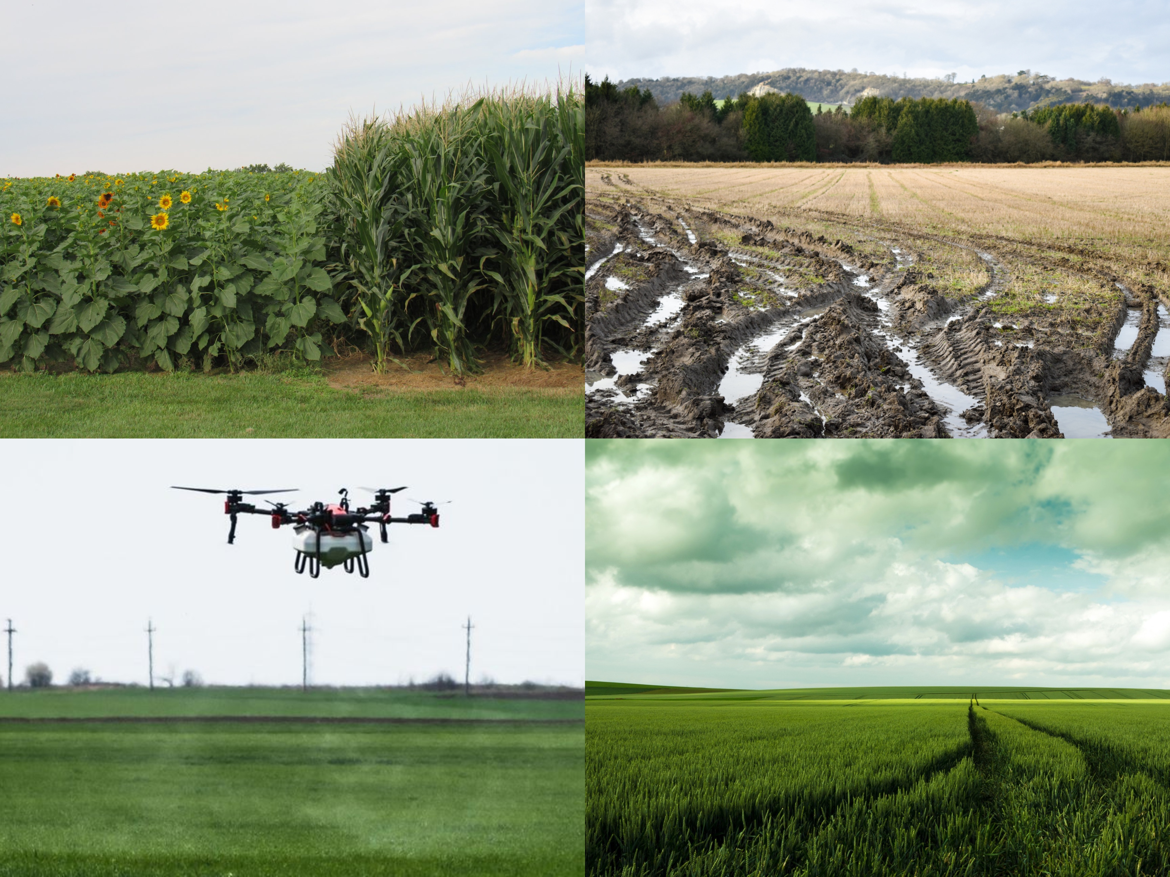 Пръскане с дрон – професионална услуга цена